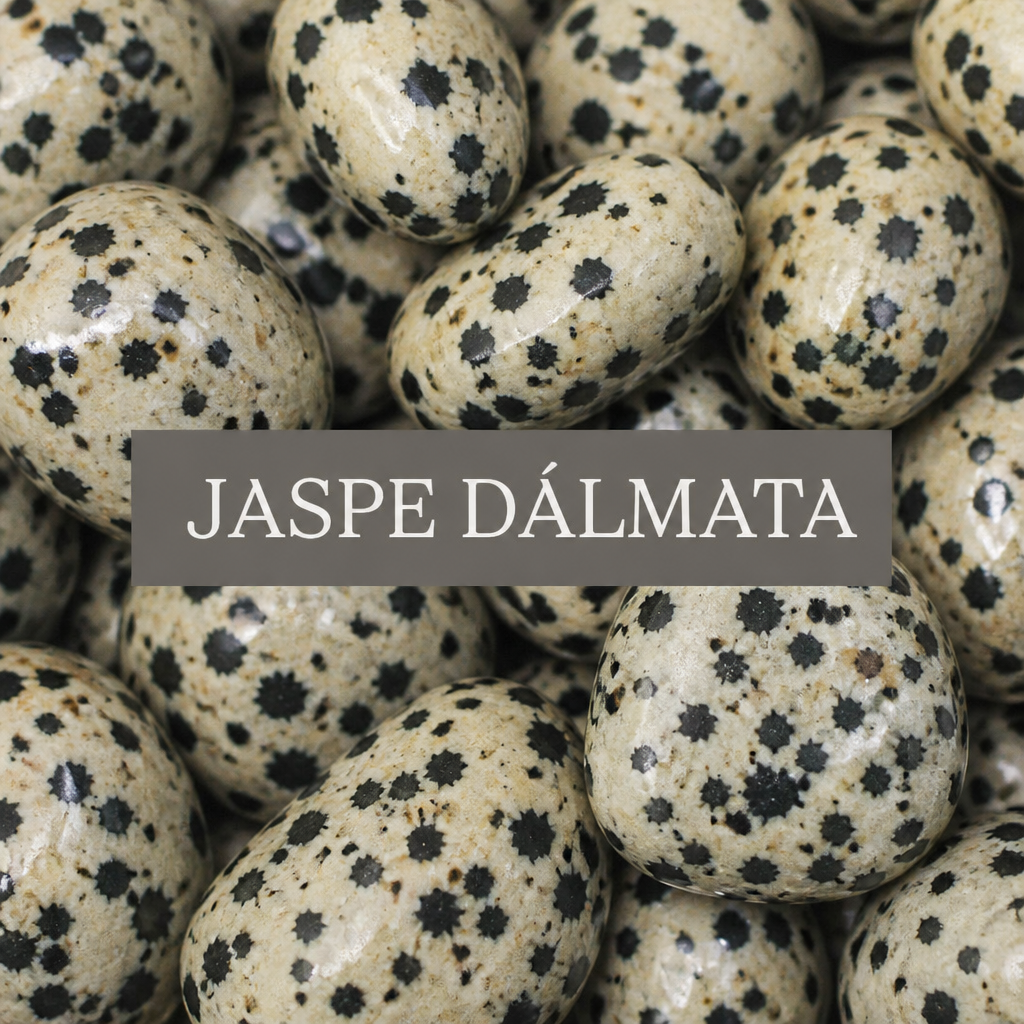Pack Jaspe Dálmata