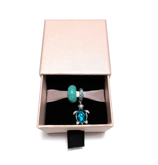 Charms PROTECCIÓN